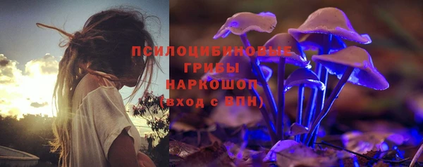 ешки Осинники