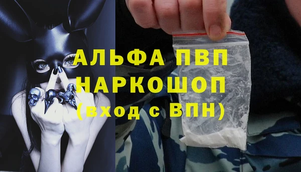 дурь Пестово