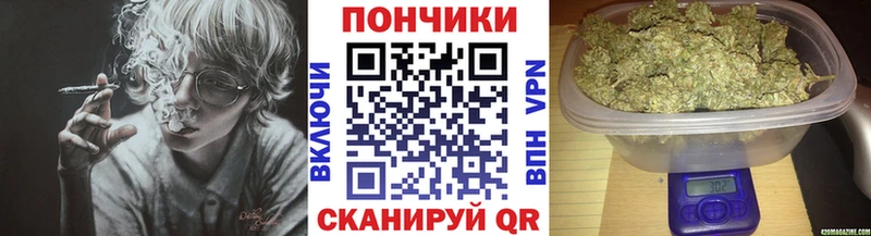 как найти закладки  Красноуральск  Бошки Шишки ГИДРОПОН 